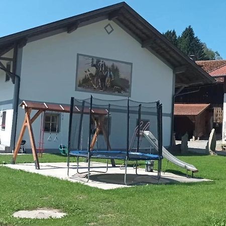 Ferienwohnung Im Bayerischen Wald Mit Terrasse Viechtach Exterior photo