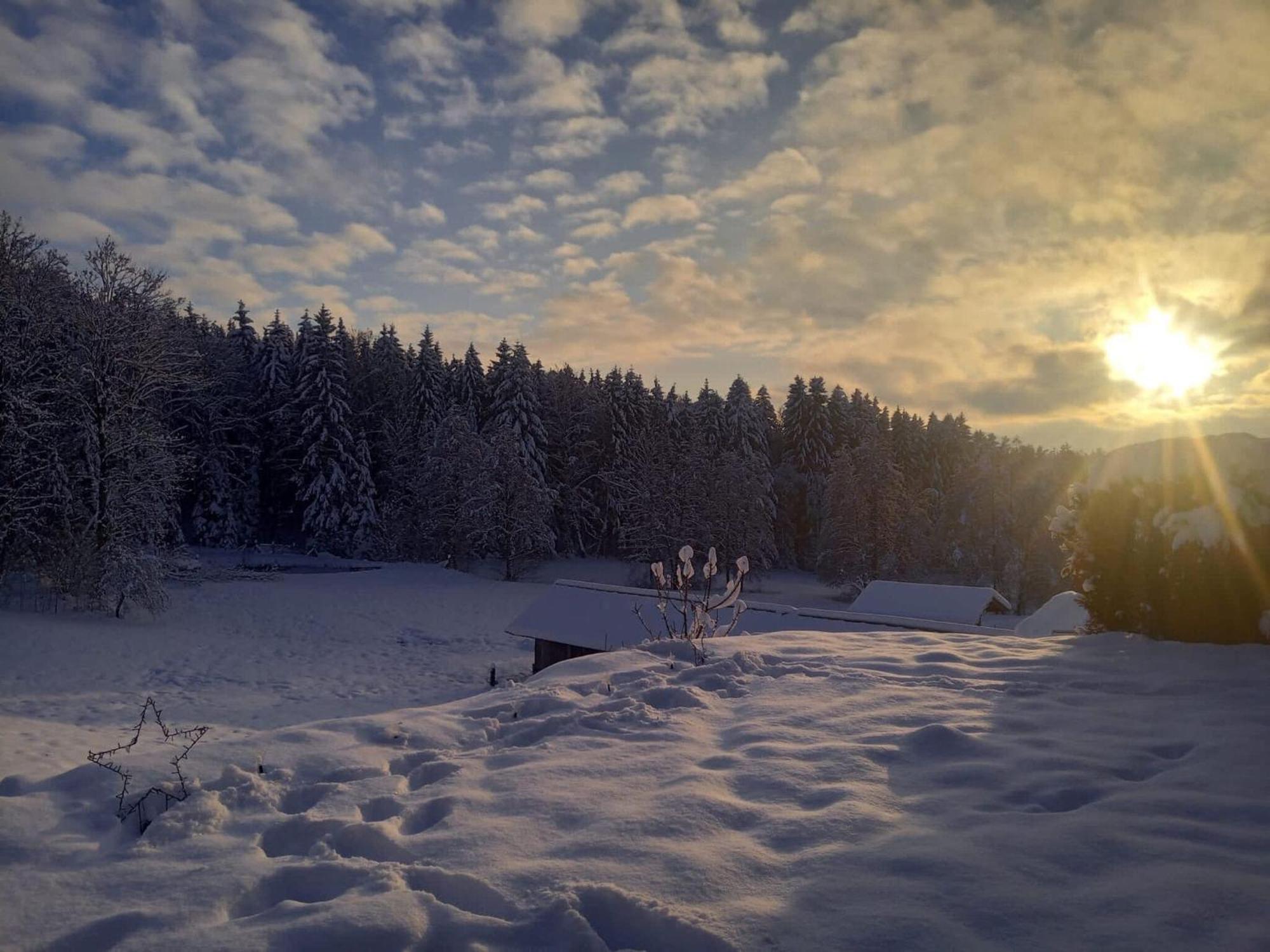 Ferienwohnung Im Bayerischen Wald Mit Terrasse Viechtach Exterior photo