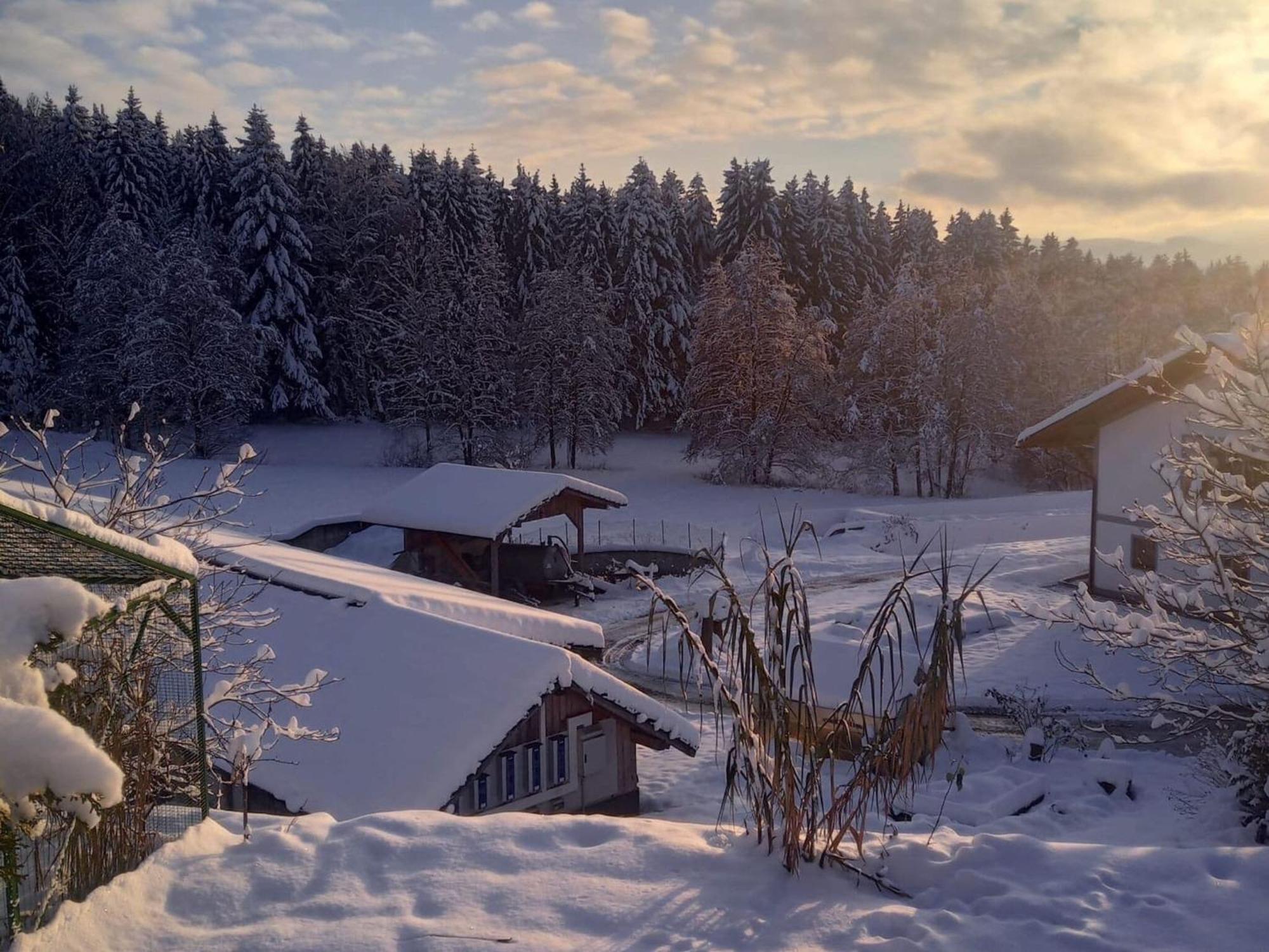 Ferienwohnung Im Bayerischen Wald Mit Terrasse Viechtach Exterior photo